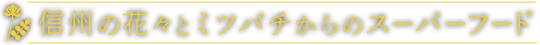 信州の花々とミツバチからのスーパーフード